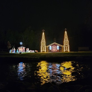 MSB Colored Lights Image