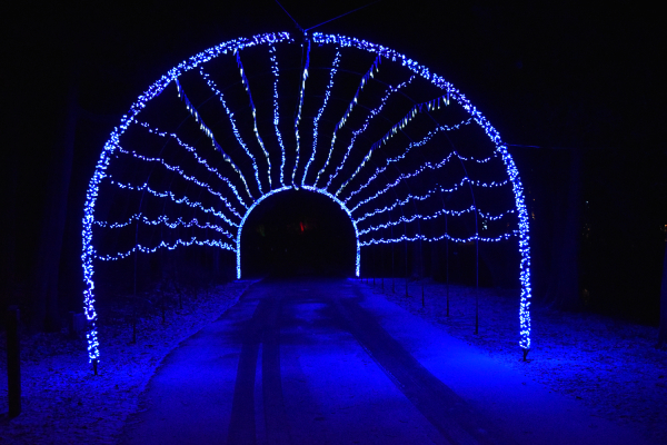 icicle tunnel 2022 1