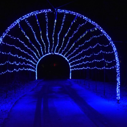 icicle tunnel 2022 1