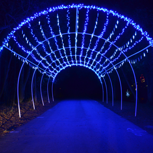 icicle tunnel